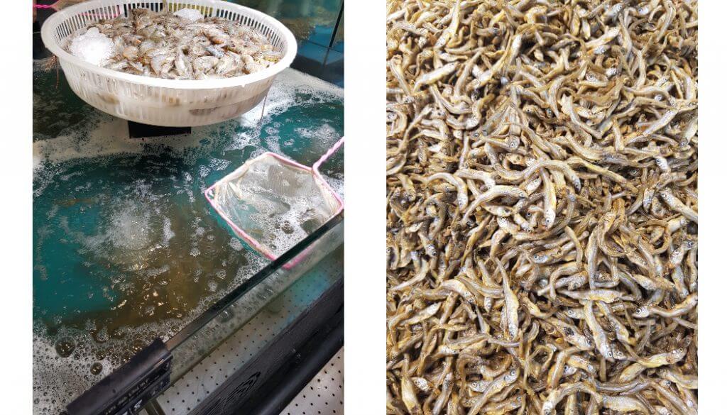grocery store in Nanchang: fresh shrimp and dried fish 