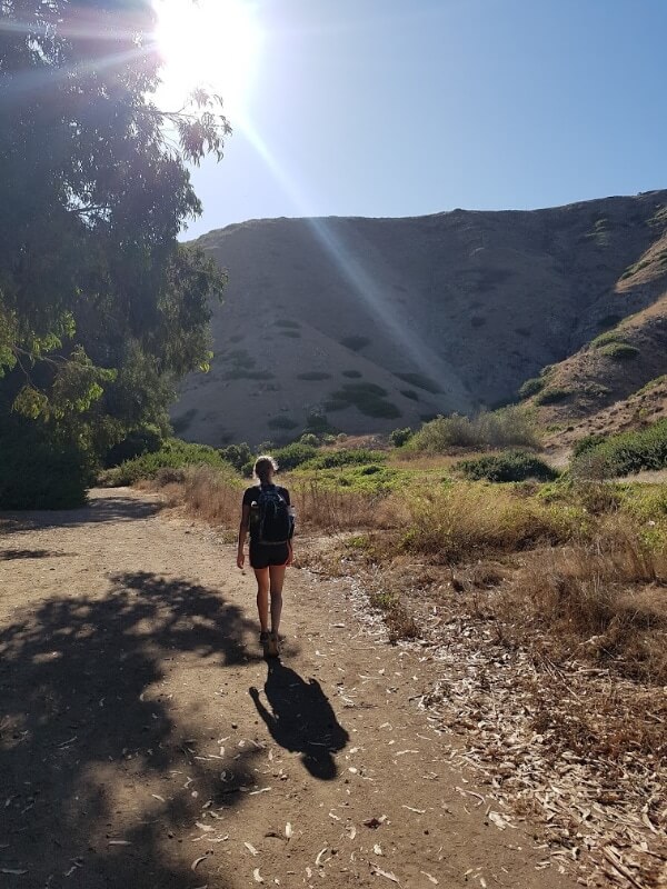 We are just starting out on our hike, I am carrying a backpack and walking towards a mountain with a ray of sun streaming around a tree on the left side of me  