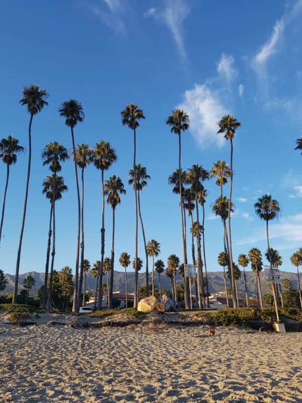 Southern California Itinerary: How To Spend 7 Days