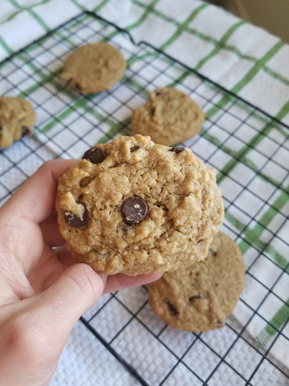 A close up shot of a chocolate chip cookie with maple syrup and there are some cookies in the background. 