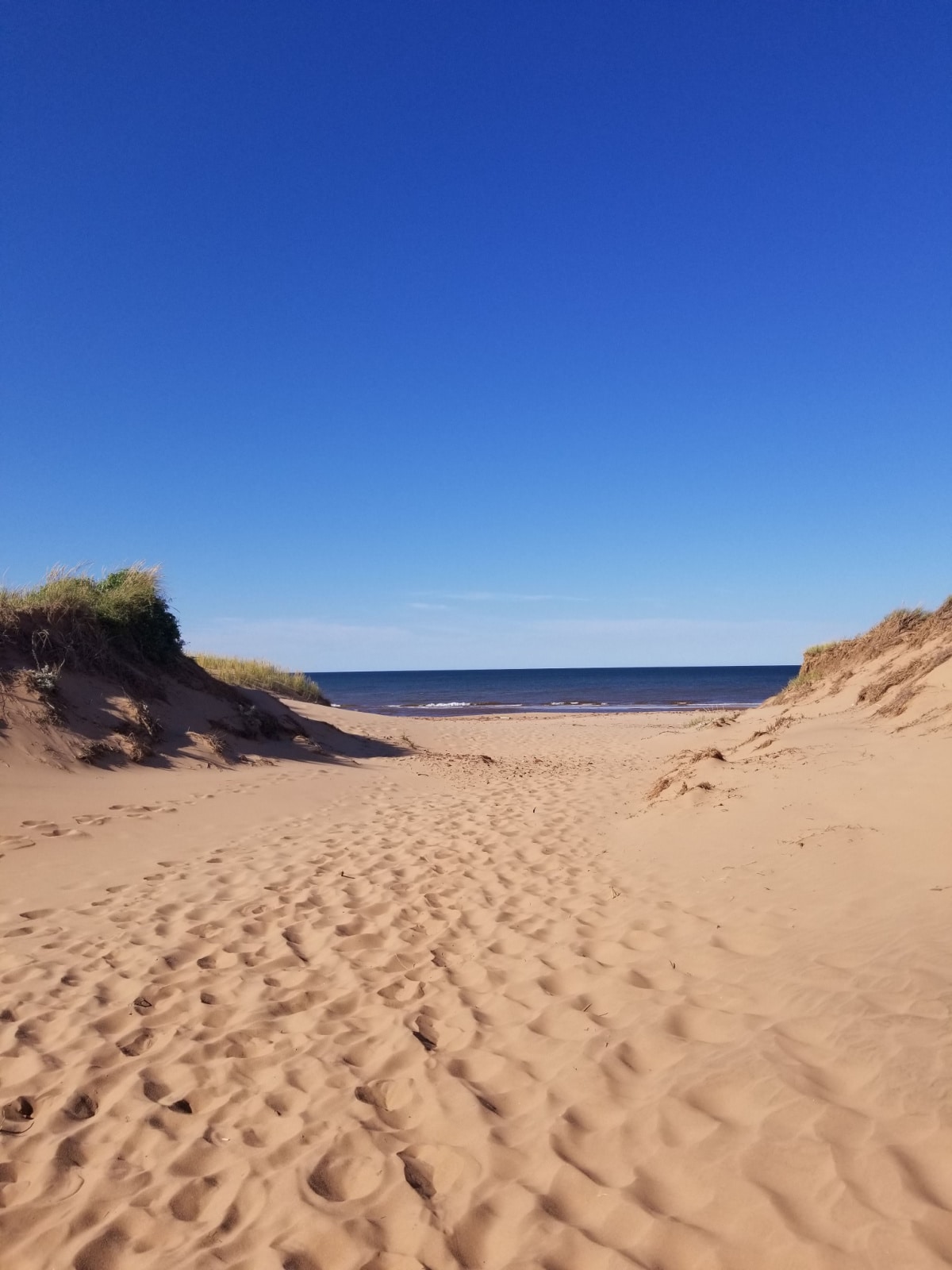 A white sand beach with the ocean ahead. There are dunes to either side of the photo. The sky is a deep blue.