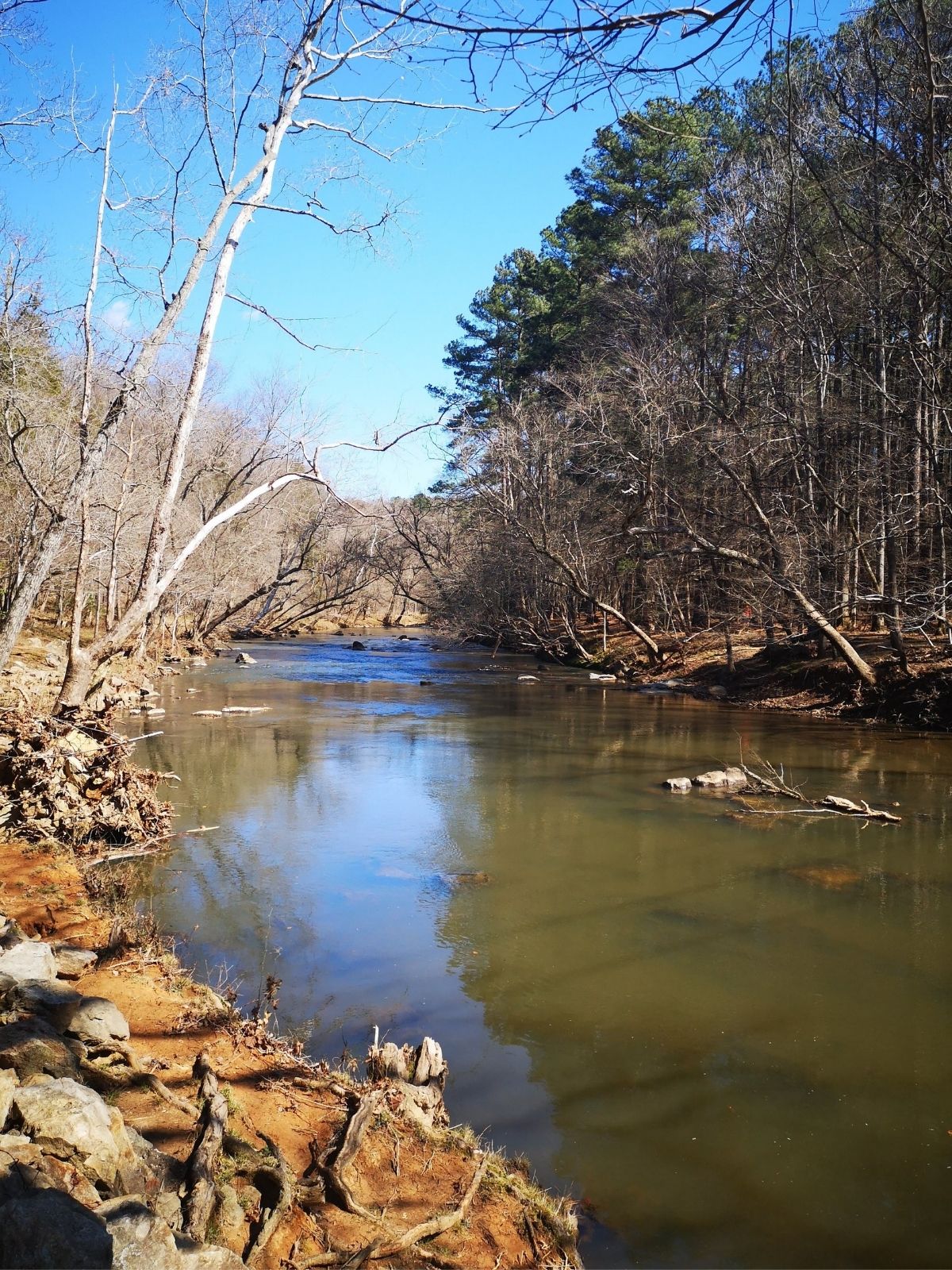 A view of Eno River from the riverbank. On either side are bare trees and there are a few rocks in the river. 