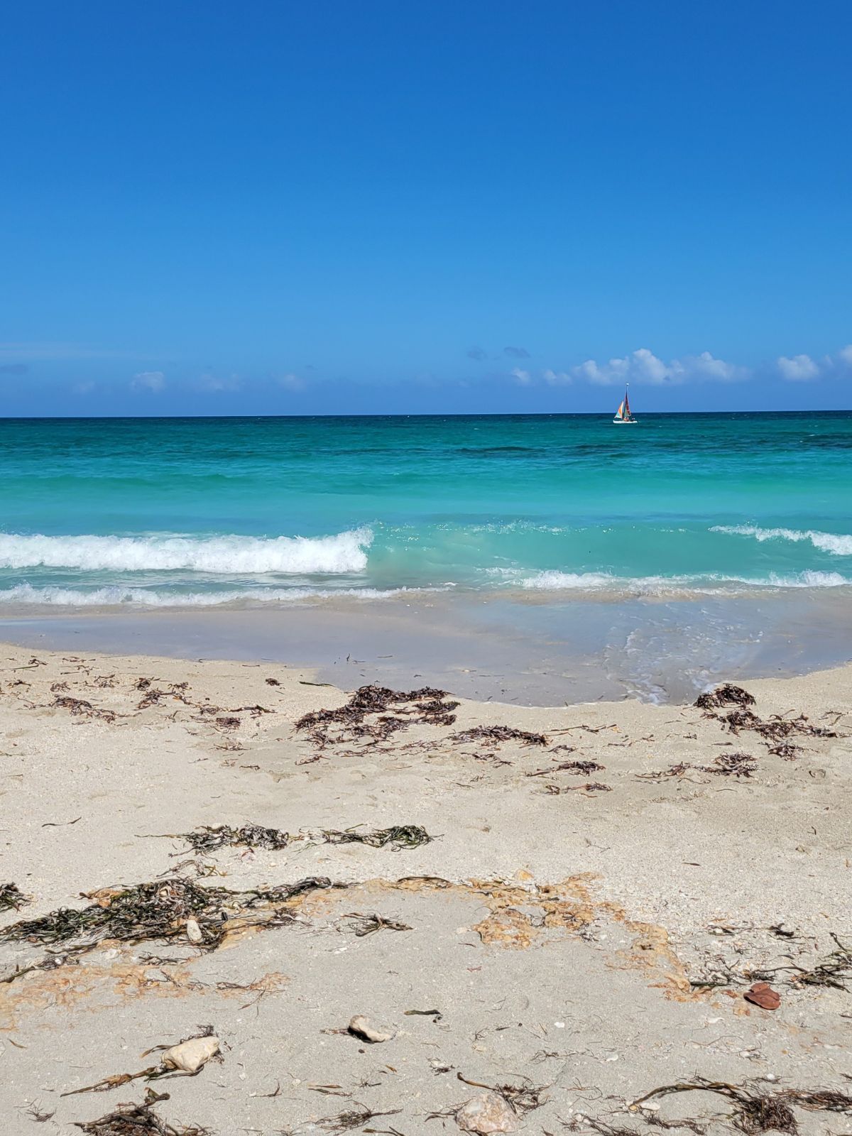 A view of the ocean at an all-inclusive in Cuba. The water is calm except for one wave coming into shore. There is a colorful sailboat out in the water and the sky is very blue.